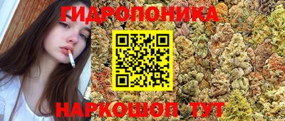 a pvp Партизанск