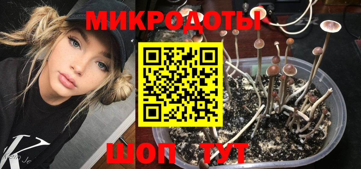 Советская Гавань  даркнет сайт  Вход с VPN  Псилоцибиновые грибы мицелий  Галлюциногенные грибы Cubensis 